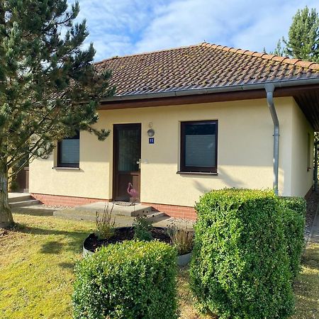Ferienhaus Vogelmeer Марлоу Экстерьер фото